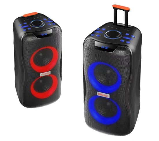 Temeisheng 2022 DJ Box Música MP3 Fiesta Caja de sonido 100W Audio portátil profesional Inalámbrico Bluetooth PRO Altavoces con micrófono